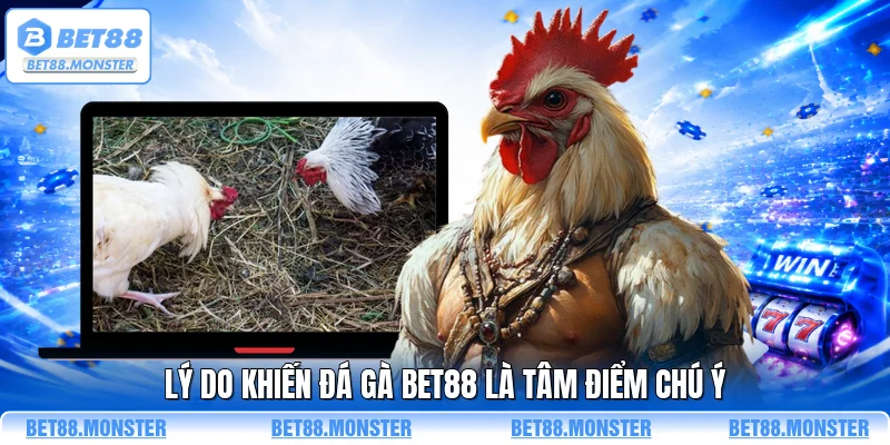Lý do khiến đá gà BET88 là tâm điểm chú ý